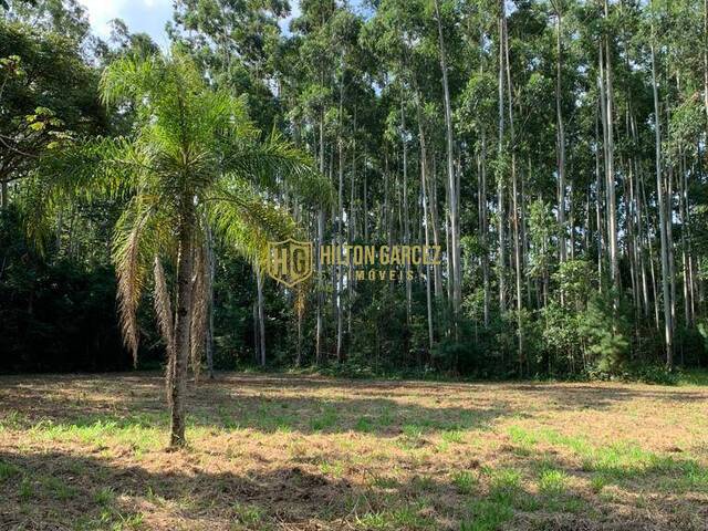 Chácara para Venda em Torres - 5