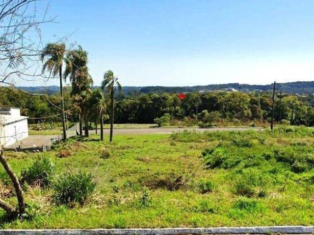 #2036 - Terreno para Venda em Farroupilha - RS - 3