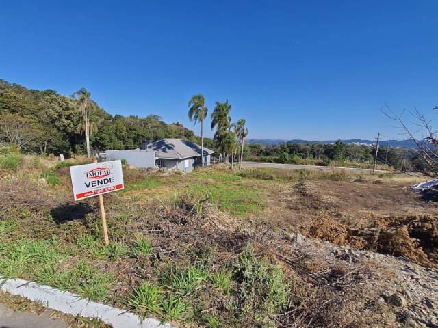 Terreno para Venda em Farroupilha - 4