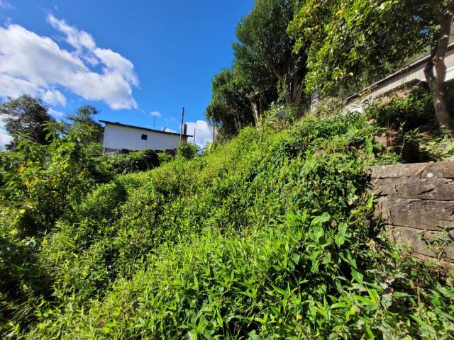 #2049 - Terreno para Venda em Gramado - RS - 3