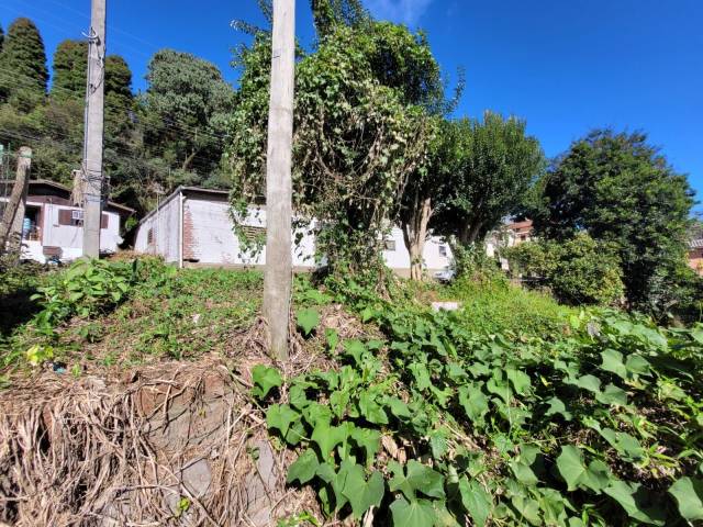 #2049 - Terreno para Venda em Gramado - RS - 2