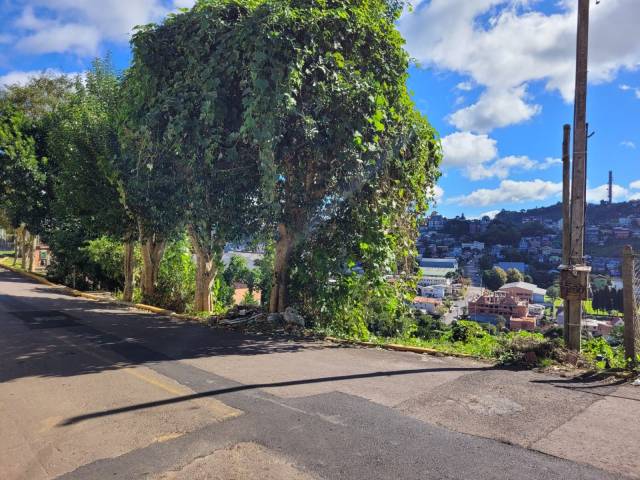 Terreno para Venda em Gramado - 5