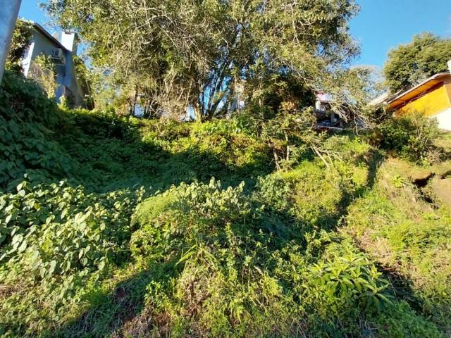 Área para Venda em Gramado - 5