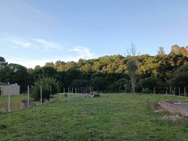 Terreno para Venda em Caxias do Sul - 4