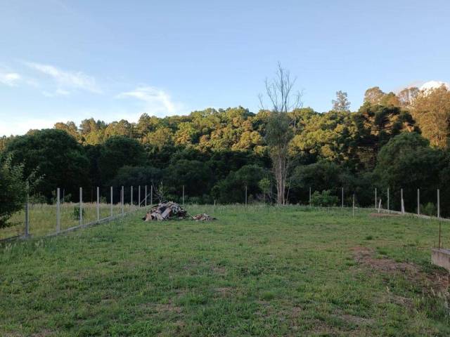 Terreno para Venda em Caxias do Sul - 5