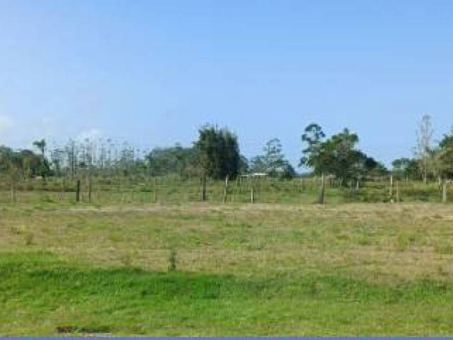 Venda em Bosque das Figueiras - Passo de Torres